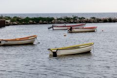 dsc_0758